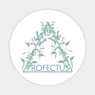 Profectus Dance Large Design (Standard Logo) Magnet